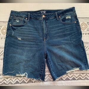 Terra & Sky Blue Denim Shorts - Size 22W